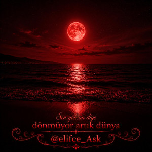 Sen yoksun diye dönmüyor artık dünya by elifce_Ask