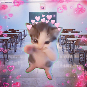 montagem meow