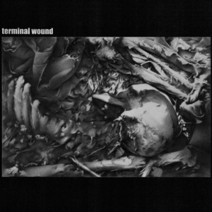 Terminal Wound poster