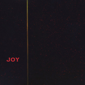 Joy by Junior VP