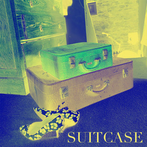 Suitcase by Steven Bridgewater