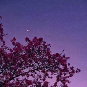 Floating Between by trist., skyswimming