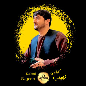 Najeeb Keshmi - میکس بهترین آهنگ های محلی نجیب کشمی (Live)