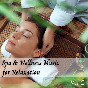 Spa & Wellness Music for Relaxation Vol. 2 album