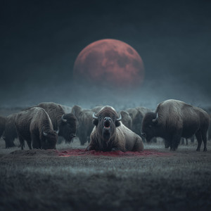 no_second_chances by buffalo_farm