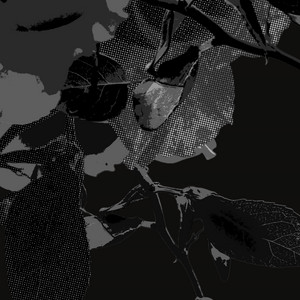 Adda Laurel — Лабіринт
