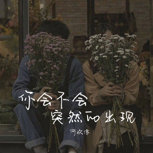 你会不会突然的出现 by 何欢浪