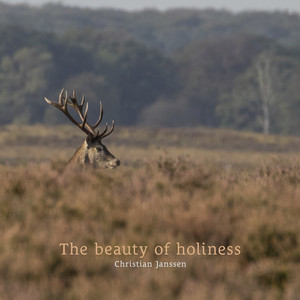 The beauty of holiness by Christian Janssen