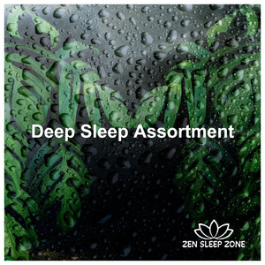 Deep Sleep Assortment