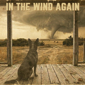 IN THE WIND AGAIN by Christopher John Burns