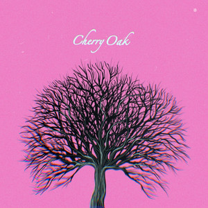 ShadowDrive - Cherry Oak