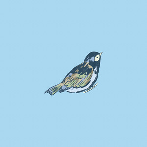 silly love songs (voice memo)