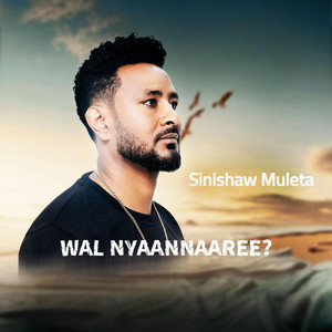 Sinishaw Muleta - Wal Nyaannaaree ?