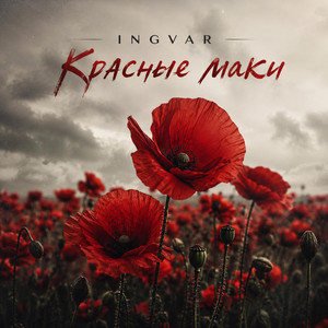 Красные маки by INGVAR