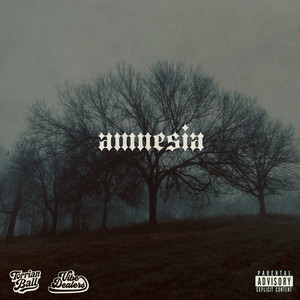 Amnesia by Torrian Ball