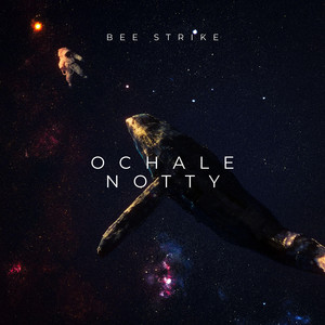 Ochale Notty by Bee strike