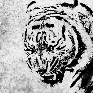 TIGER - Instrumental by fractured