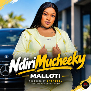 Ndiri MuCheeky by Malloti