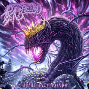 Supremacy Kontol by Radang Kelamin