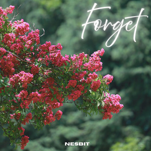 Forget - Radio Edit by Nesbit