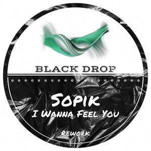 I Wanna Feel You (Rework)