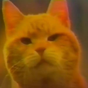 Neturallane - Nostagia