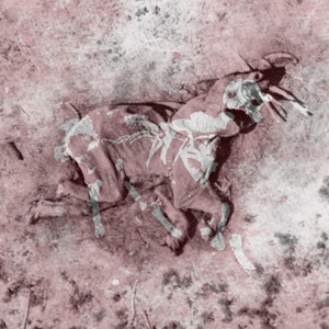 Dying cover
