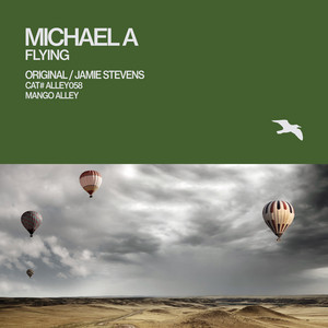 Flying - Jamie Stevens Remix cover art