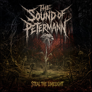 Steal the Limelight by The Sound of Petermann