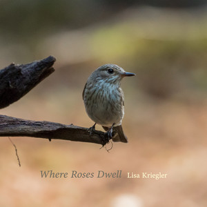 Where Roses Dwell by Lisa Kriegler