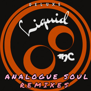 Analogue Soul - Future Analog Remix by Liquid 1nc, Rogue FX, Future Analog