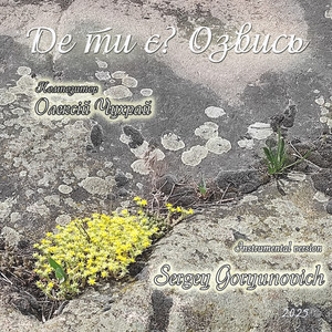 Sergey Goryunovich — Де ти є? Озвись (Instrumental version)