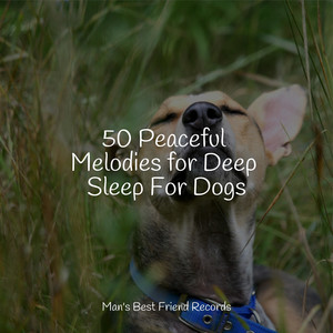 50 Peaceful Melodies for Deep Sleep For Dogs album
