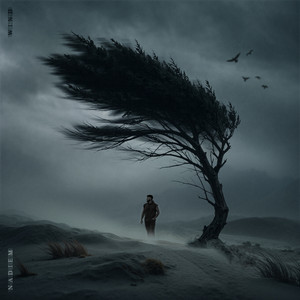 Wind by Nadiem