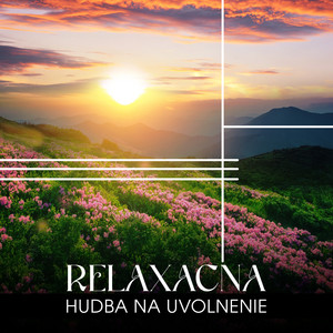 Prírodná liečebná hudobná zóna - Zvuk lesa