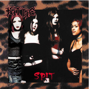 Spit cover