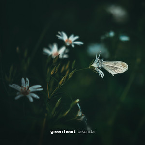 Green Heart by Takunda