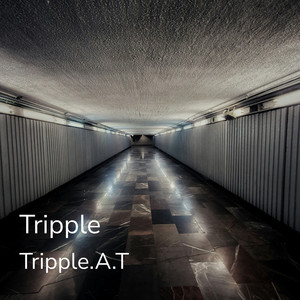 Helldiver by Tripple.A.T