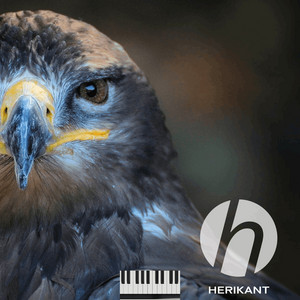 HERIKANT - Prophetic Worship