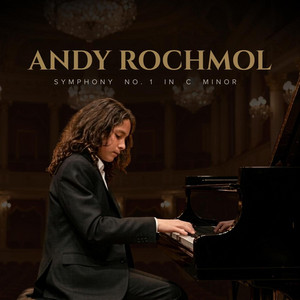 Symphony No. 1 in C Minor: I. Allegretto by Ricardo Andre Rocha, Andy Rochmol