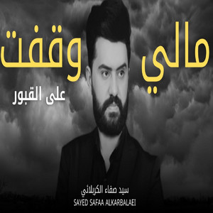 مالي وقفت على القبور by سيد صفاء الكربلائي