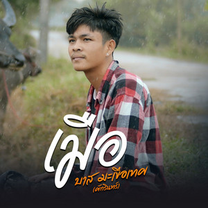 บาส มะเขือเทศ - เมือ