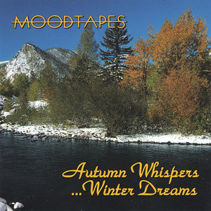 その他 Moodtapes: Contemporary Christmas [DVD] Moodtapes - Contemporary Christmas