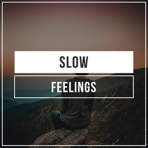 # 1 Album: Slow Feelings album
