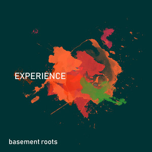 Catch the Flow by Basement Roots