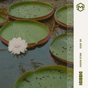 Dibbidi by Mr. Käfer, Niklas Nadidai