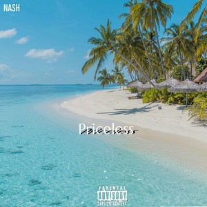 Priceless by Nash