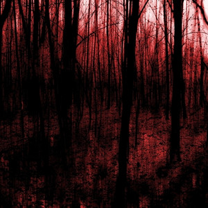 i (wont) forgive you