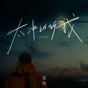 太冲动的我 - DJ九零版 by 清唯