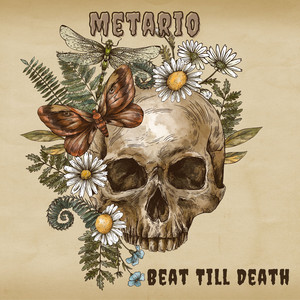 Beat Till Death by Metario